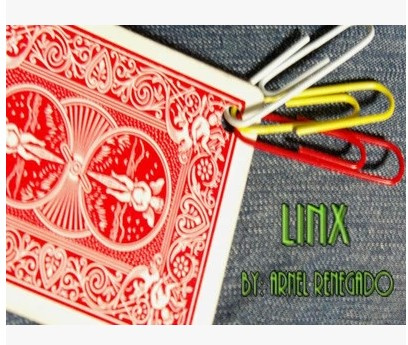 2014 LinX by Arnel Renegado (Download)