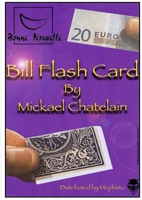 2013 Bill Flash Card by Mickael Chatelain (Download)