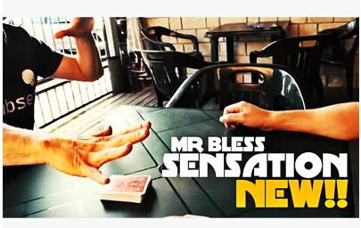 2014 Sensation by Mr Bless (Download)