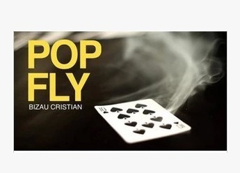 2012 TBC Pop Fly by Bizau Cristian (Download)