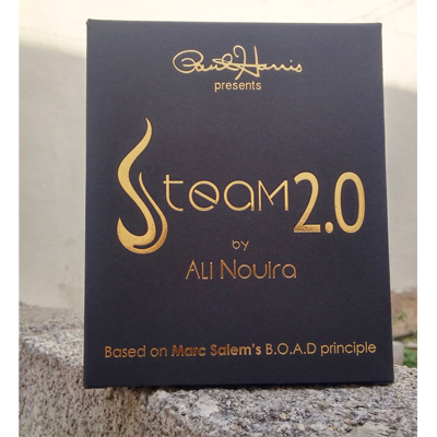 2016 Steam 2.0 by Ali Nouira (Download)