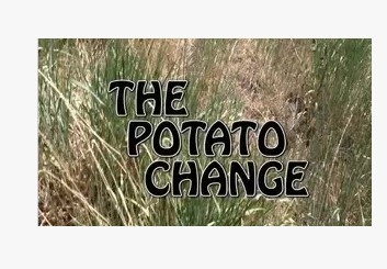 2013 T11 Potato Change by Gerald Robinson (Download)