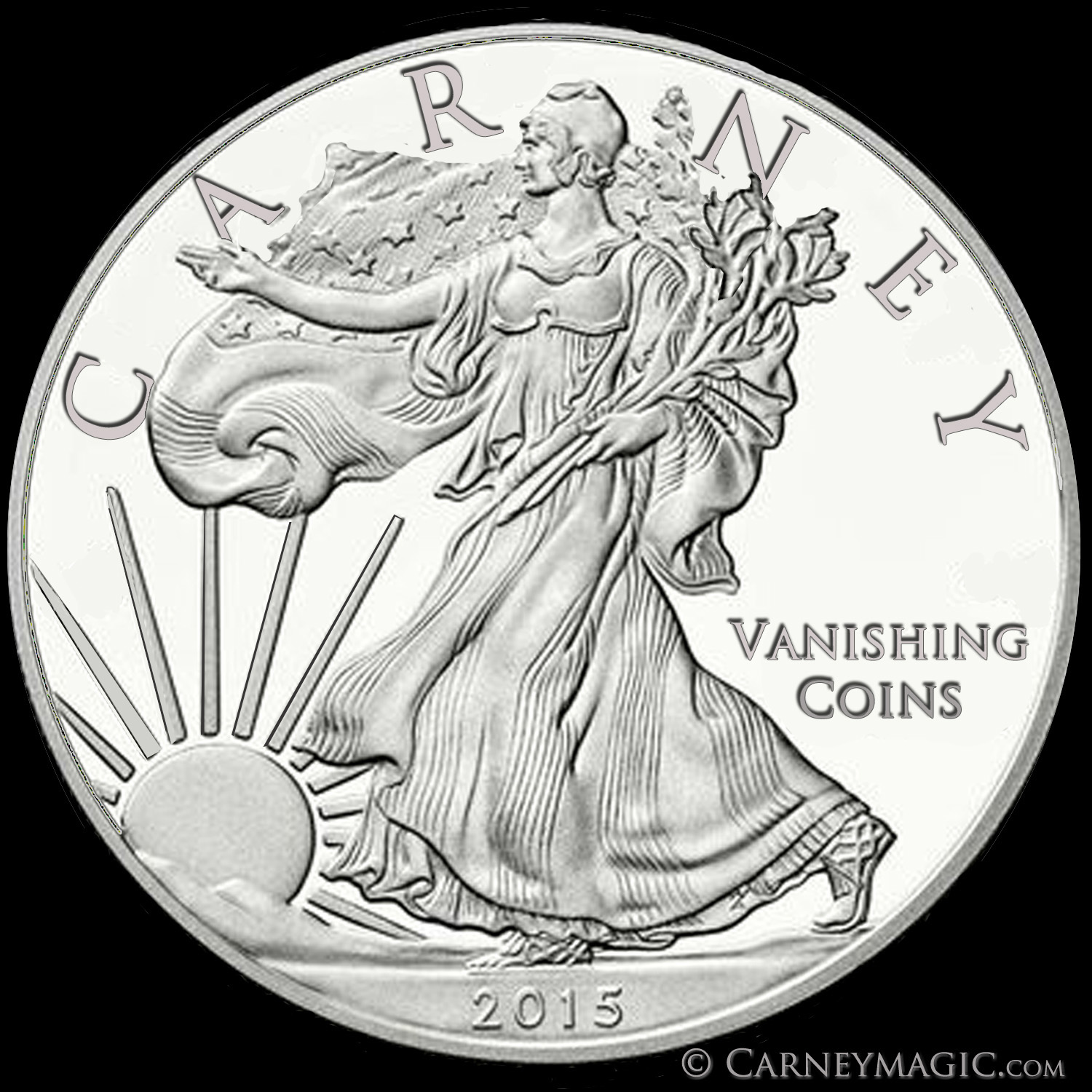 Vanishing Coins by John Carney
