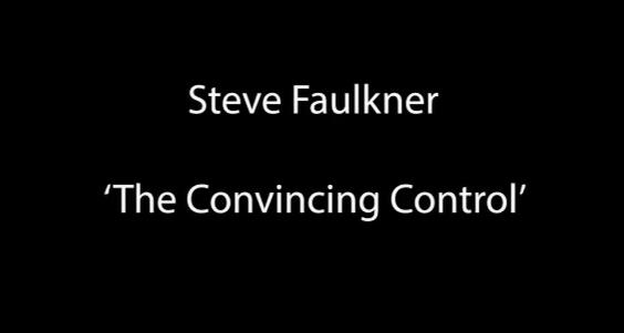 Steve Faulkner - The Convincing Control