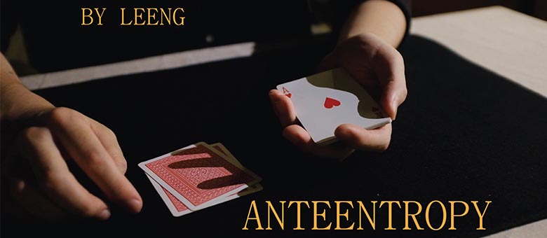 Leeng - Anteentropy