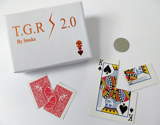 Snake - Together 2.0