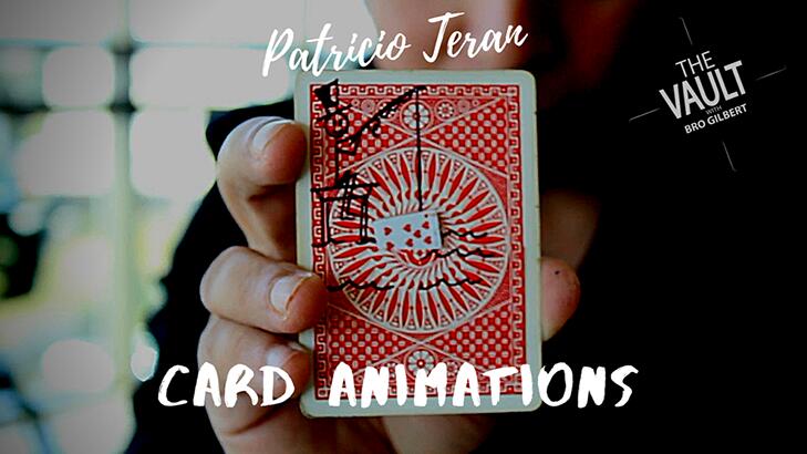 Patricio Teran - The Vault - Card Animations