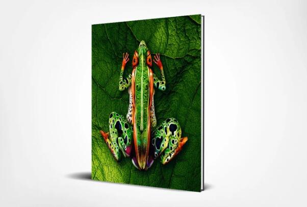 Barry Fazackerley - Use Your Illusions