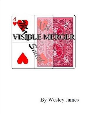 Wesley James - Visible Merger