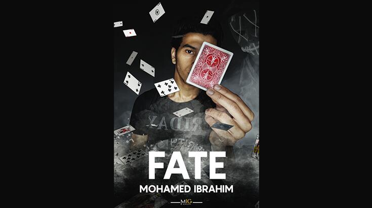 Mohamed Ibrahim - Fate