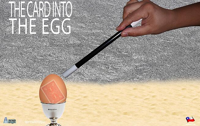 Alan - THE CARD INTO THE EGG