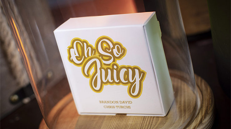 Brandon David and Chris Turchi - Oh So Juicy
