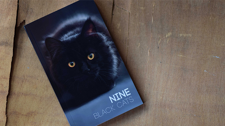 Nine Black Cats by Neemdog and Lorenzo
