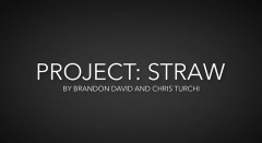 Brandon David, Chris Turchi - Project Straw (MP4 Video Download)