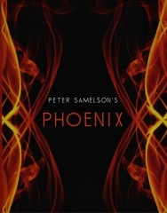 Petert Samelson - Phoenix (MP4 Video Download)