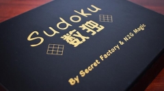 Secret Factory and N2G Magic - Sudoku (MP4 Video Download)