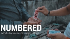 Parlin Lay - Numbered (MP4 Video Download)
