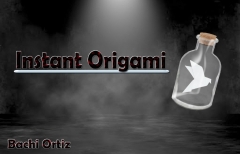 Instant Origami by Bachi Ortiz (MP4 Video Download)