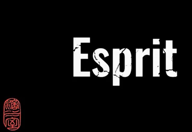 Esprit by Mathieu Bich (MP4 Video Download 1080p FullHD Quality)