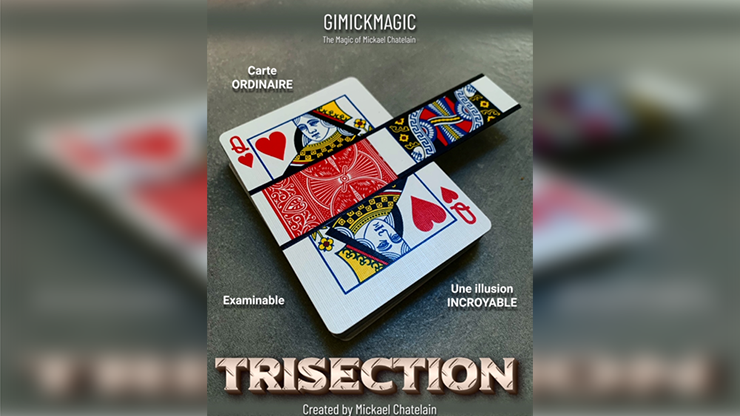 TRISECTION by Mickael Chatelain (French & English, Mp4 Video Download)
