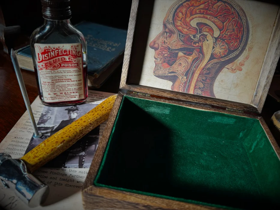 Cerebrum by Dead Rebel Magic (Video Download)