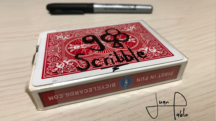 SCRIBBLES by Juan Pablo (Video Download)