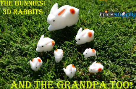 The Bunnies by Trick Supply (Mp4 Video Download)