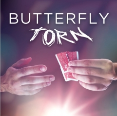 Butterfly Torn by Yvan Garmy (MP4 Video Download)