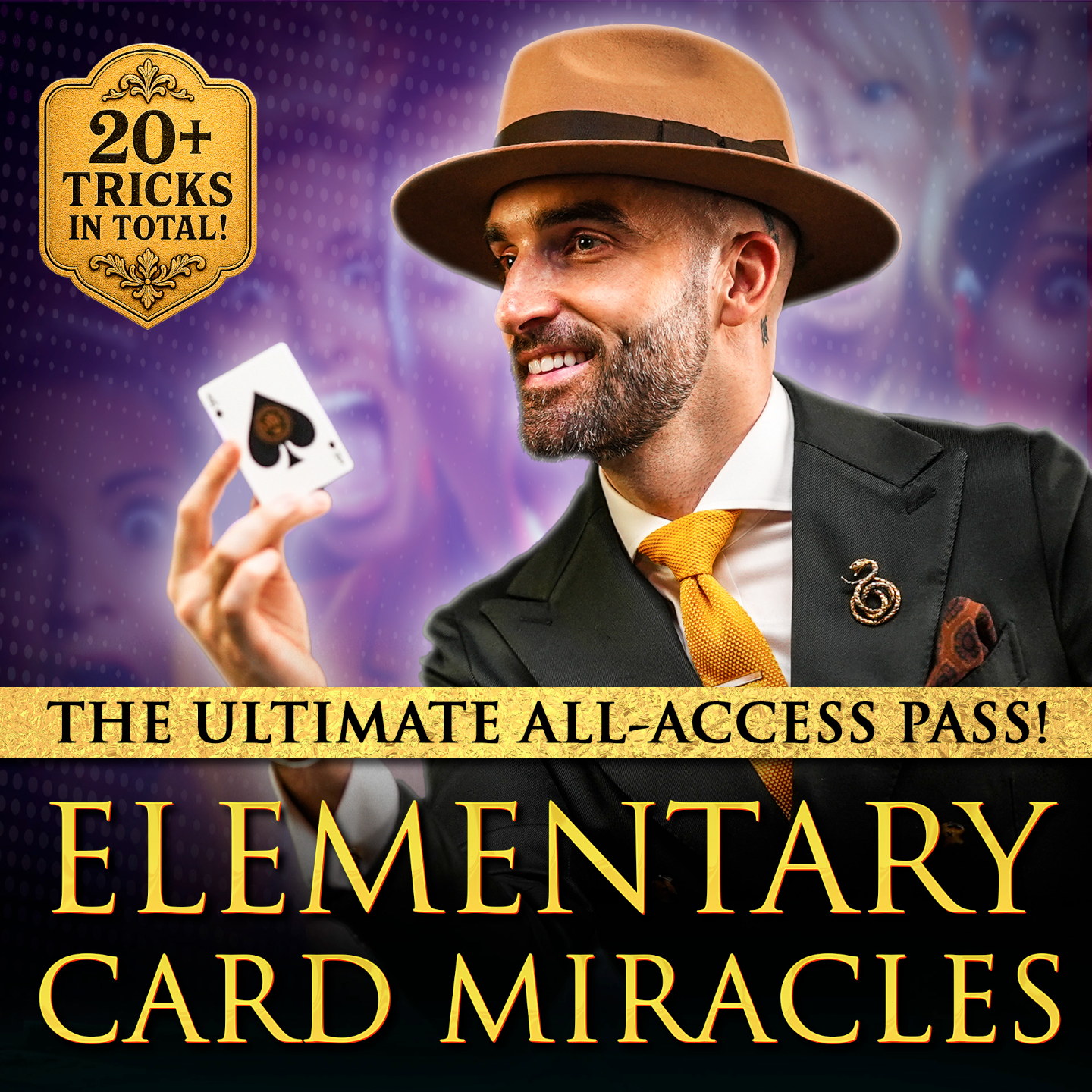 DMC – Elementary Card Miracles Vol 1-4