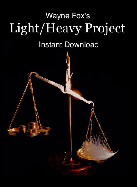 Wayne Fox - Light Heavy Project