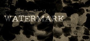 Mathieu Bich - Watermark