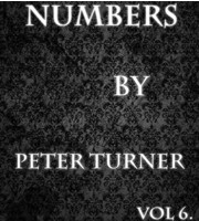 Numbers (Vol 6) by Peter Turner