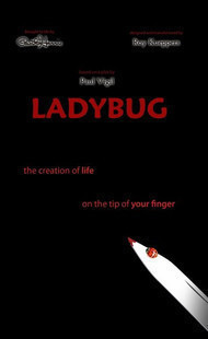 Ladybug by Paul Harris