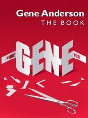 Gene Anderson The Book PDF